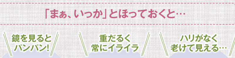 �ނ������ �A�����T�v�������g1���T�C�g